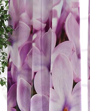 Комплект фотоштор «Римирес» | фото 2