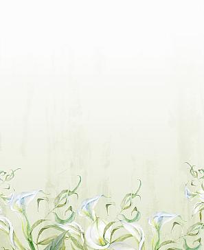 Комплект штор «Ханмикрос»