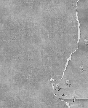 Комплект штор «Шолтрикс»