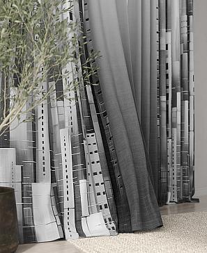 Комплект штор «Рэйлис»