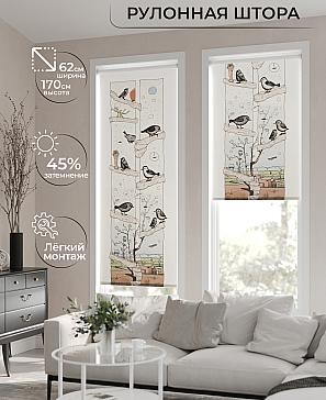 Рулонная штора «Нинора. ширина 62см.» | фото