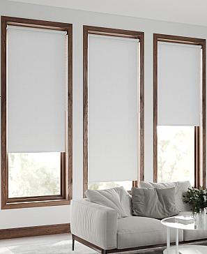 Рулонная штора «Троил» ширина 68 см