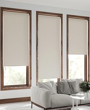 Рулонная штора «Диус» ширина 57см.