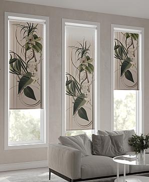 Рулонная штора «Лиранрос - ширина 52 см»