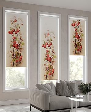 Рулонная штора «Рабирис - ширина 52 см»