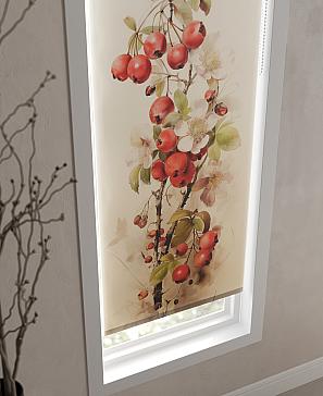 Рулонная штора «Рабирис - ширина 52 см»