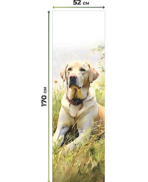 Рулонная штора «Фрэндир - ширина 52 см» | фото 3