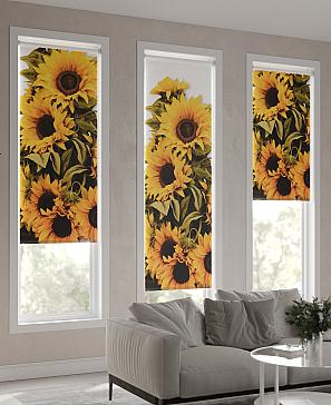 Рулонная штора «Фанетрилс - ширина 52 см»