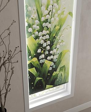 Рулонная штора «Ландифер - ширина 52 см»