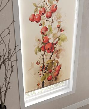 Рулонная штора «Фонримот - ширина 62см»