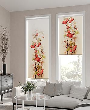 Рулонная штора «Фонримот - ширина 62см»