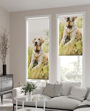 Рулонная штора «Ролиборс - ширина 62см»