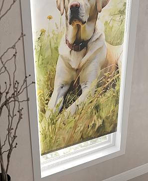 Рулонная штора «Ролиборс - ширина 62см»