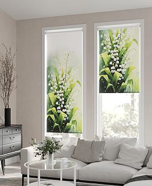 Рулонная штора «Ланворд - ширина 62см»