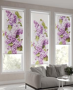 Рулонная штора «Саневиарс - ширина 62см»