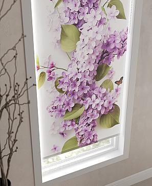 Рулонная штора «Саневиарс - ширина 62см»