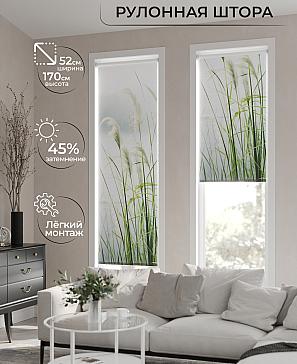 Рулонная штора «Стелания - ширина 52 см» | фото