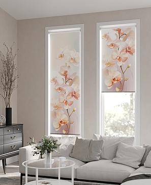 Рулонная штора «Исмида - ширина 52 см» | фото 3