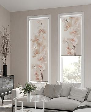 Рулонная штора «Замина - ширина 52 см» | фото 3