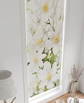 Рулонная штора «Ботоес - ширина 52 см» | фото 3