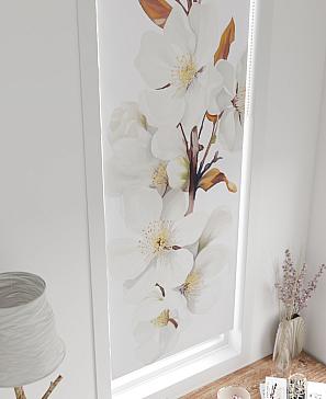 Рулонная штора «Чемита01 - ширина 52 см»