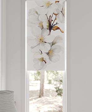 Рулонная штора «Чемита01 - ширина 52 см»