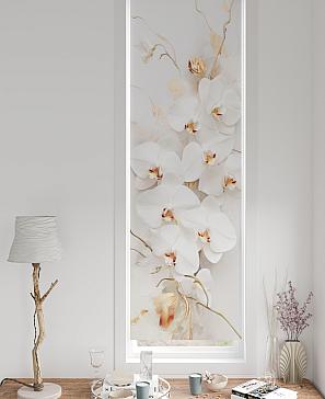 Рулонная штора «Нанчо - ширина 52 см» | фото 3