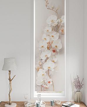 Рулонная штора «Нанчо01 - ширина 52 см» | фото 3