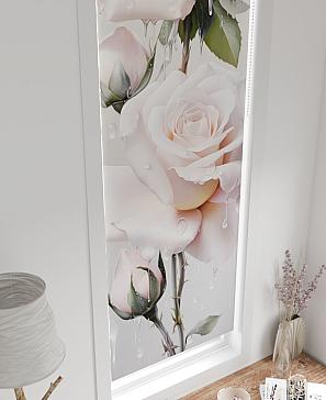 Рулонная штора «Клавио - ширина 52 см»