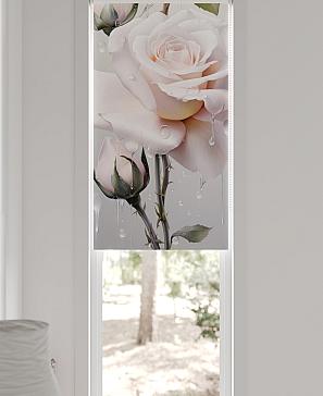 Рулонная штора «Клавио - ширина 52 см» | фото 3