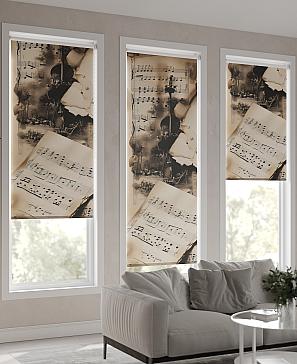 Рулонная штора  «Понтуачи - ширина 62 см»