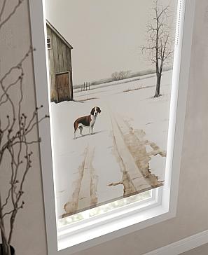 Рулонная штора «Фарлитос - ширина 62 см» | фото 3