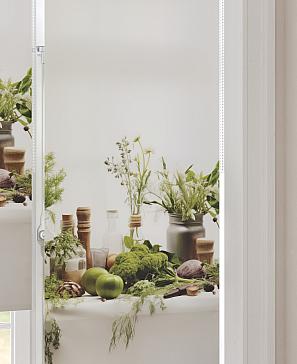 Рулонная штора «Некриалт - ширина 62 см» | фото 3