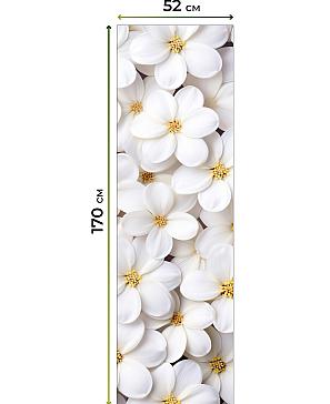 Рулонная штора  «Лилома - ширина 52 см»