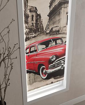 Рулонная штора  «Анимаис - 11 - ширина 52 см»