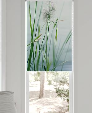 Рулонная штора «Шолкрит - 23 - ширина 62 см»