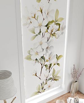 Рулонная штора «Шолкрит - 25 - ширина 62 см» | фото 3