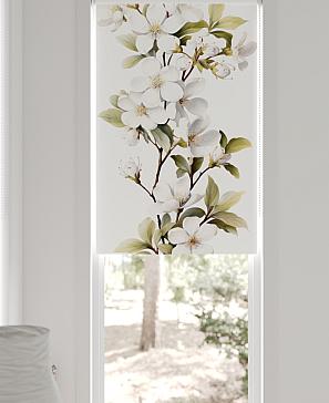 Рулонная штора «Шолкрит - 25 - ширина 62 см»