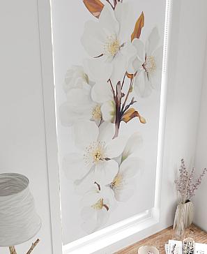 Рулонная штора «Шолкрит - 26 - ширина 62 см» | фото 3