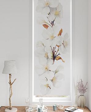 Рулонная штора «Шолкрит - 26 - ширина 62 см» | фото 2