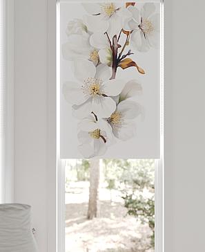 Рулонная штора «Шолкрит - 26 - ширина 62 см»