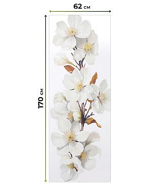 Рулонная штора «Шолкрит - 26 - ширина 62 см»