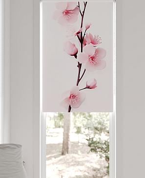 Рулонная штора «Шолкрит - 29 - ширина 62 см»