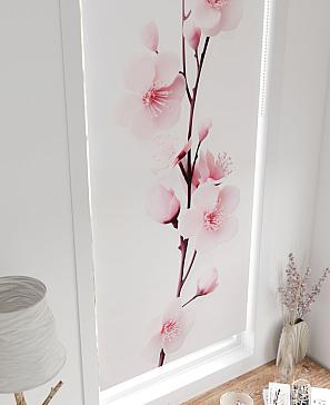 Рулонная штора «Шолкрит - 29 - ширина 62 см» | фото 3