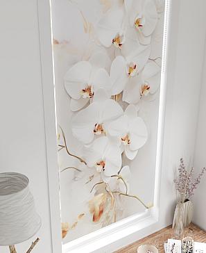 Рулонная штора «Шолкрит - 39 - ширина 62 см» | фото 3