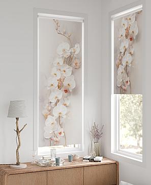 Рулонная штора «Шолкрит - 40 - ширина 62 см»