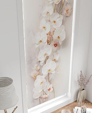 Рулонная штора «Шолкрит - 40 - ширина 62 см» | фото 3