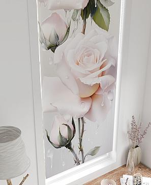 Рулонная штора «Шолкрит - 43 - ширина 62 см» | фото 3