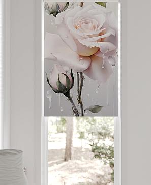 Рулонная штора «Шолкрит - 43 - ширина 62 см»