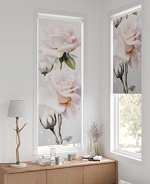 Рулонная штора «Шолкрит - 43 - ширина 62 см»